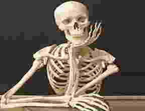 Create meme: the skeleton is waiting for a meme, skeleton in waiting, skeleton 