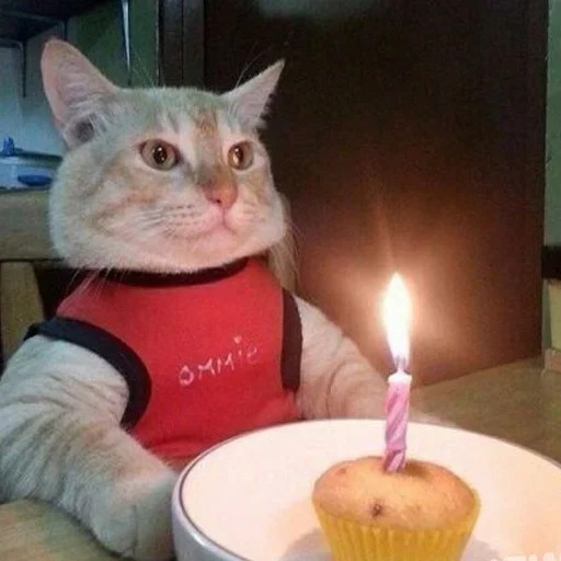 Создать мем: кот с днем рождения, котик задувает свечи, кот с тортиком и свечкой