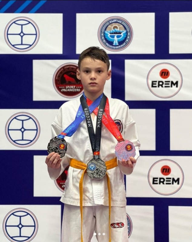 Create meme: Taekwondo GTF European Championship, Taekwondo, boy 