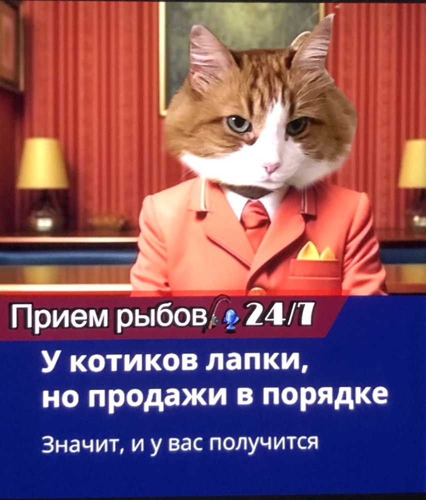 Создать мем: котики, кот кот, кот работник
