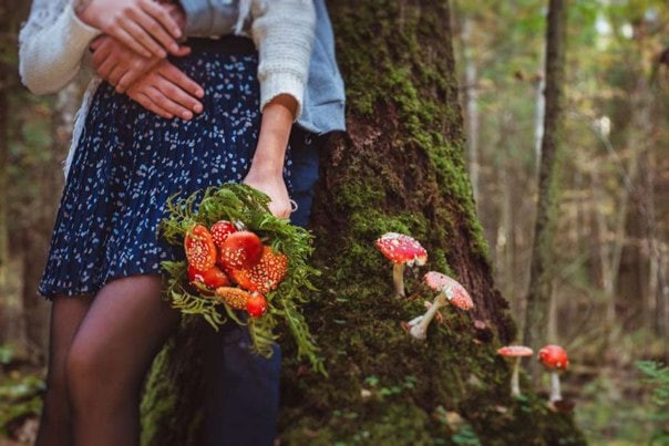 Create meme: bouquet , the bride's bouquet , mushrooms in the forest aesthetics
