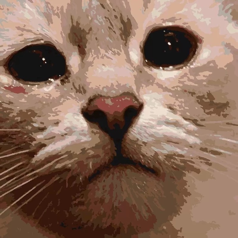 Создать мем: кошка, печальный котик, грустный котик мем