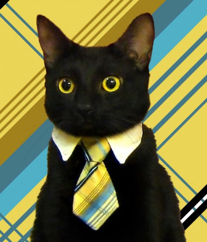 Создать мем: черный кот, кот в галстуке мем, мистер кот