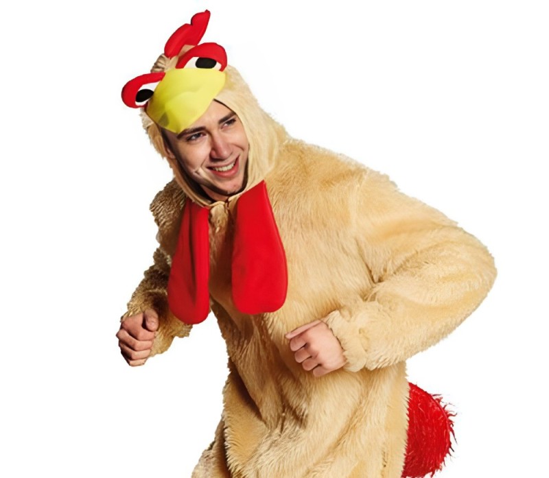 Create meme: rooster costume, chicken costume adult, the chicken suit