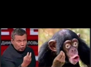 Create meme: meme monkey, monkey chimp, monkey with lips