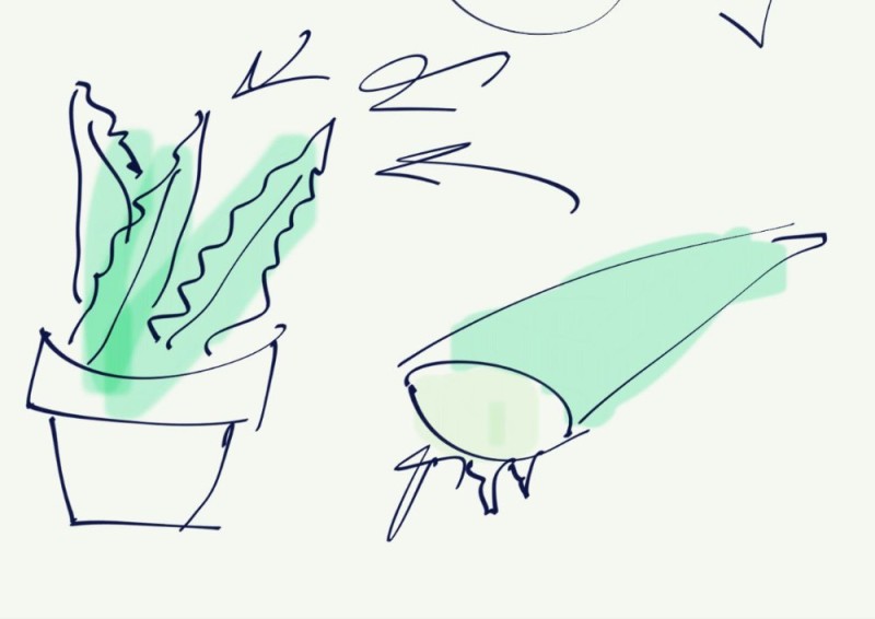 Create meme: drawing of aloe, aloe, drawing of aloe vera in a pot