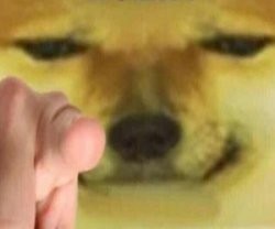 Create meme: dog lick attack, dog, Blurred image