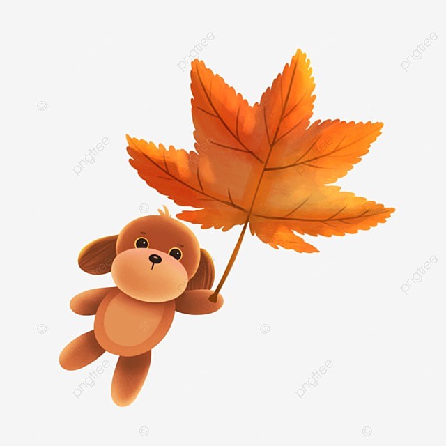 Create meme: maple leaf, autumn maple leaves, leaves fall 