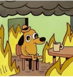 Create meme: meme dog in a burning house, this is fine , a dog in a fire meme