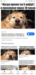Create meme: dog, photo with comments, when I woke up until dinner pop