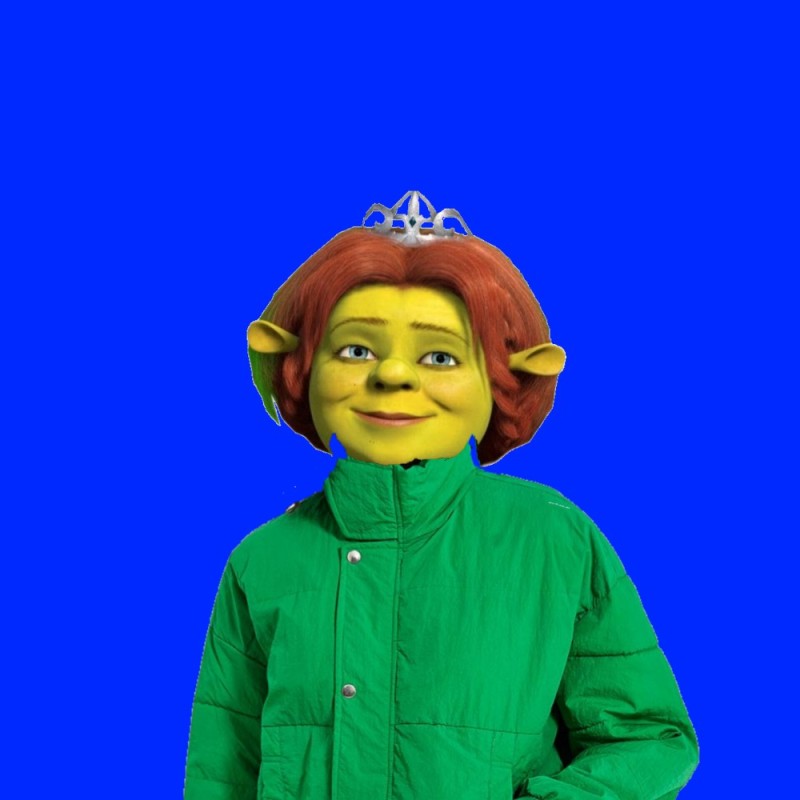 Create meme: Shrek , Princess Fiona of Shrek, Shrek Princess Fiona