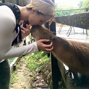 Create meme: nutria and capybara, the capybara