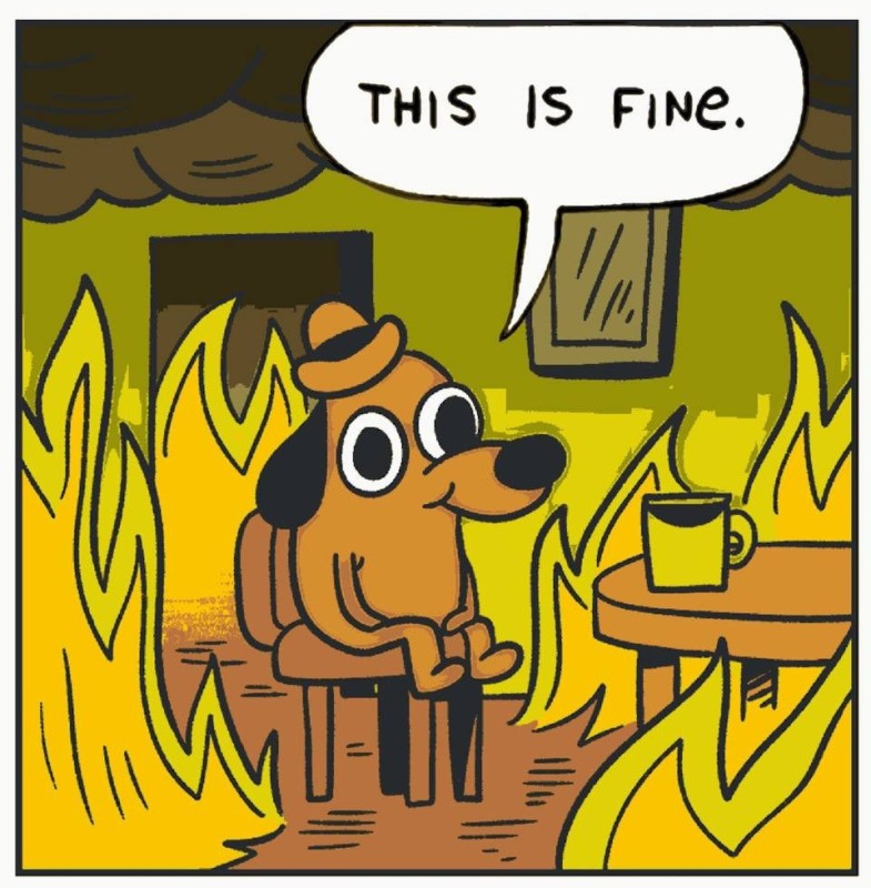 Create meme: a dog in a burning house, dog in the burning house, this is fine 
