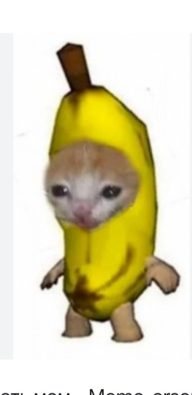Создать мем: котик в костюме банана, banana cat, кот банан мем