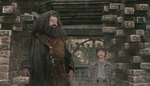 Create meme: Rubeus Hagrid with a magic wand, Harry Hagrid, rubeosis Hagrid