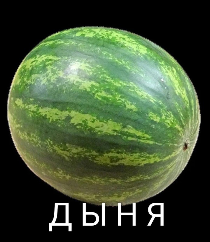 Create meme: ripe watermelon, watermelon golden revenge f1, the watermelon one