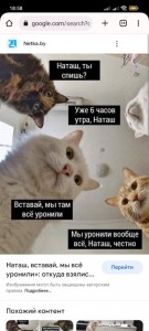 Create meme: Natasha and cats memes