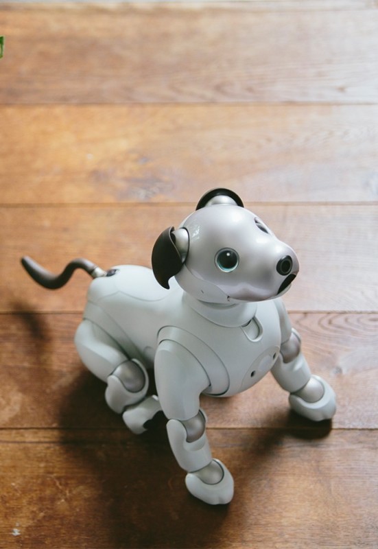 Создать мем: собака-робот sony’s aibo, робот собака aibo, собака робот айбо