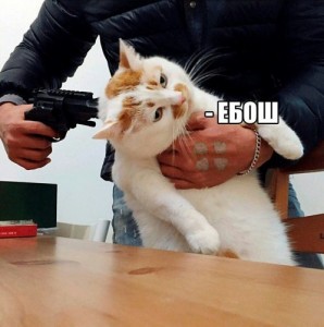 Создать мем: мем кот, кот пистолет, кошка