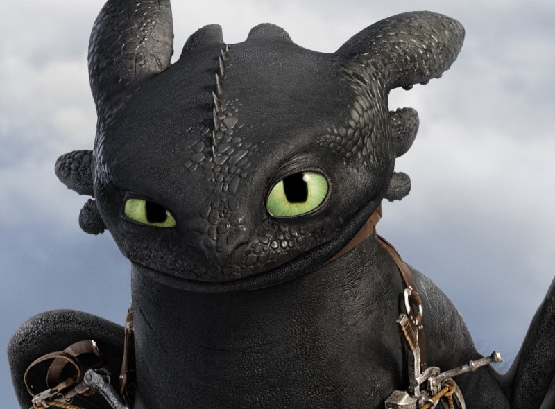 Create meme: Toothless and Hiccup, tame the dragon toothless, cartoon toothless