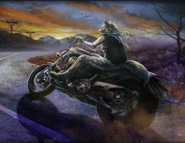 Create meme: wolf on a motorcycle, bikers are night wolves, motorcycle art