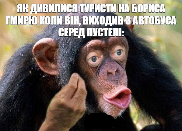Create meme: lip chimpanzee, chimpanzees are funny, meme monkey 
