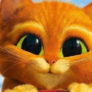 Create meme: cat eyes from Shrek, the cat from Shrek, cat Shrek