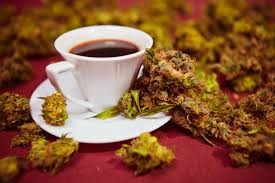 Create meme: Rooibos tea, tea made from licorice root, tea with marijuana