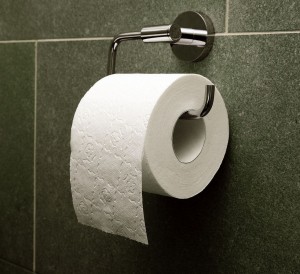 Create meme: toilet paper hangs, toilet paper, shiny toilet paper