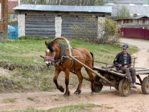 Создать мем: сельская, повозка, телеги для лошадей