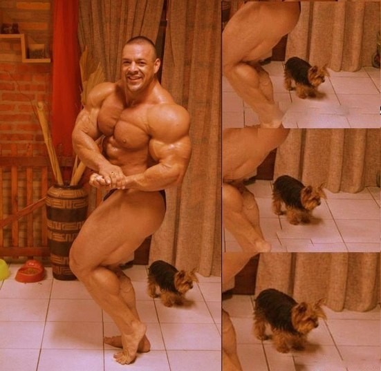 Create meme: bodybuilder , sports bodybuilding, sergey vladimirovich shelestov