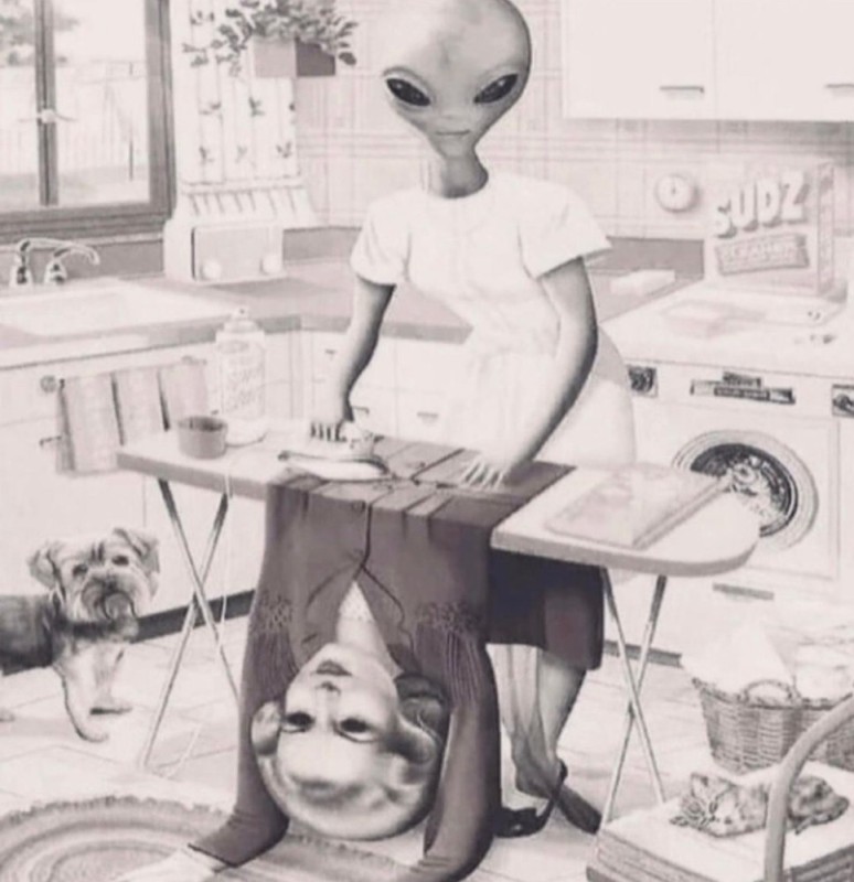 Create meme: the alien is funny, Picture of an alien stroking a woman, aliens 