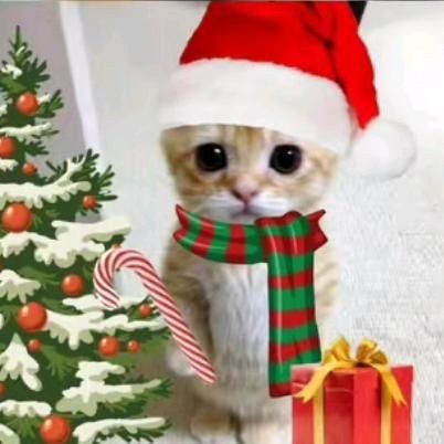 Создать мем: безудержное новогоднее веселье кот, новогодний, новогодний котик мем
