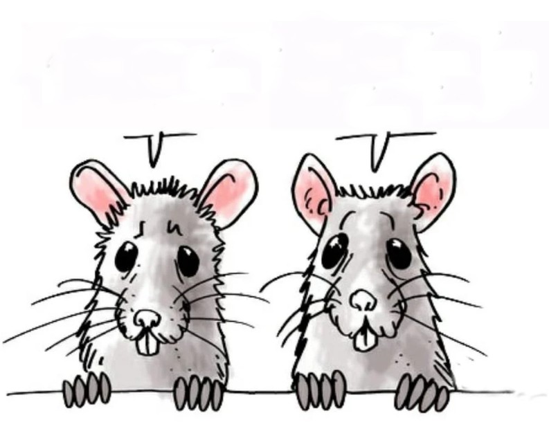 Create meme: drawing of a rat, cartoon mouse, jokes about vaccination