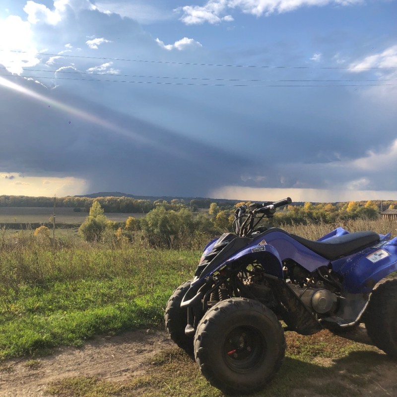 Создать мем: квадроцикл yamaha grizzly, квадроцикл yamaha, квадроцикл ямаха гризли