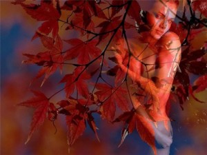 Create meme: autumn leaves, AUTUMN