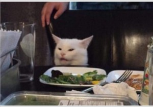 Create meme: memes with cats, the meme with the cat at the table