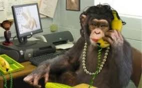 Create meme: monkey in the office, monkeys, monkey behind a computer