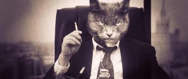 Create meme: cat in a business suit, a cat in a tuxedo, the cat is the boss