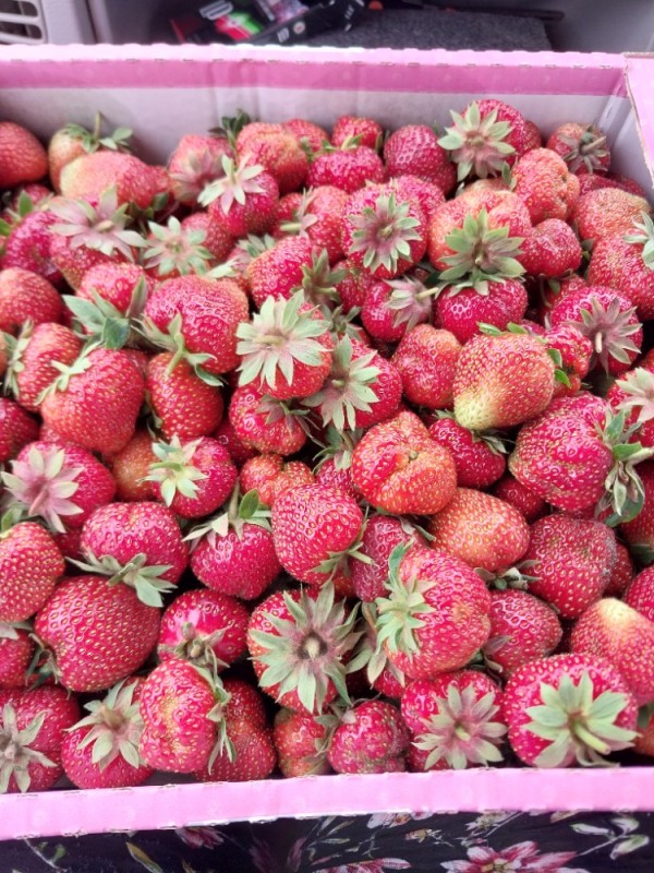 Create meme: strawberry , fresh strawberry, berry strawberry 