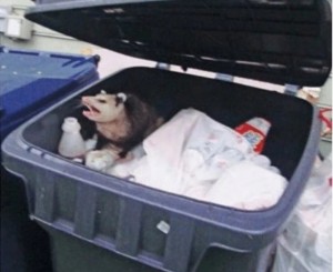 Create meme: possum don't touch my trash, don't touch my trash, opossum in the trash