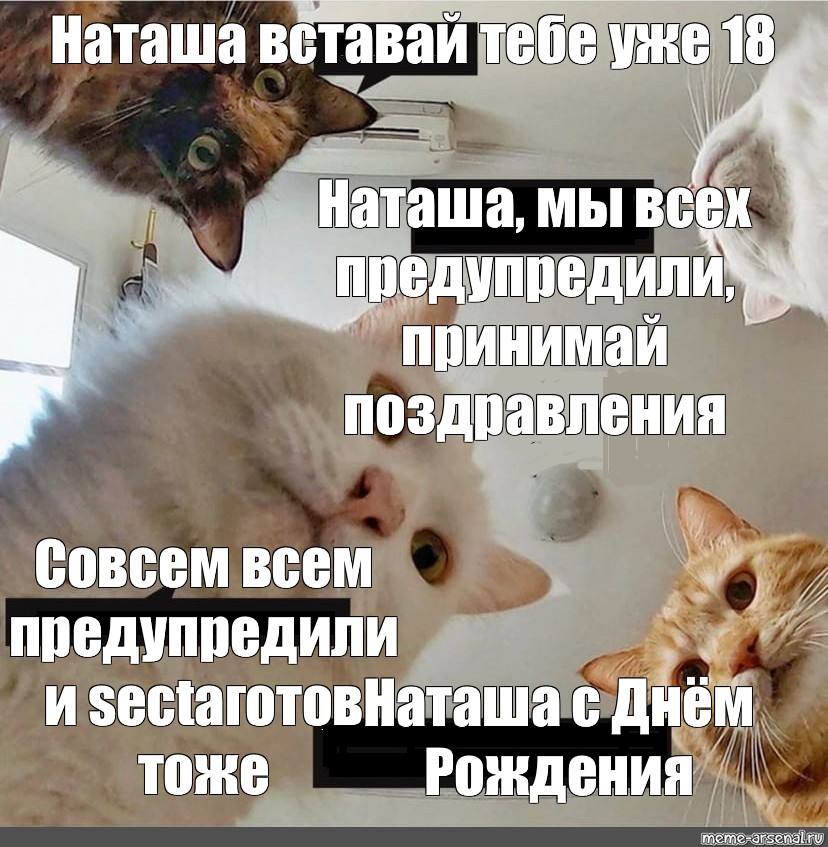 Наташа Фото 18