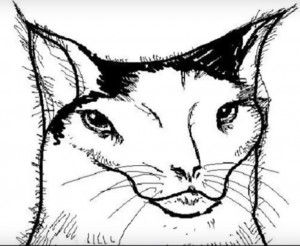 Создать мем: draw, рисунок, cat face