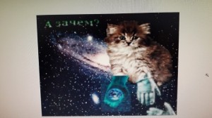 Создать мем: cat in space, кот в космосе, кошки в космосе картинки