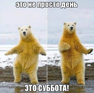 Create meme: viernes, polar bear, just so fun