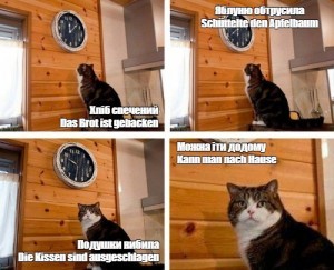 Create meme: meme the cat and watches, cat time, meme the cat and the clock time
