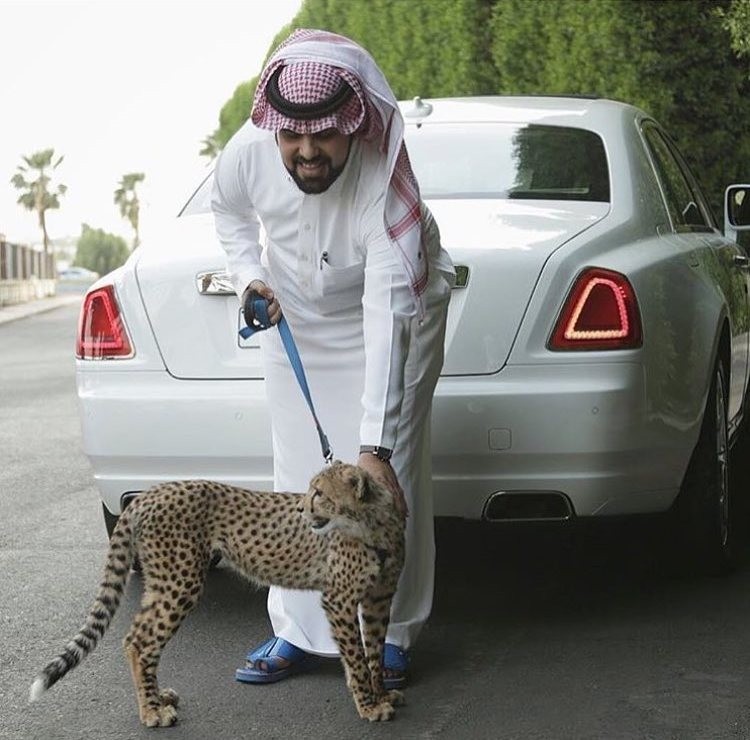 Create meme: sheikh in dubai, Arab Sheikh, Rich Sheikh of Dubai