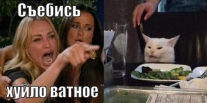 Создать мем: кошка женщина, женщина орет на кота, мемы