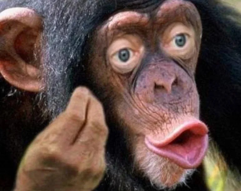 Create meme: chimp meme, monkey with lips, lip chimpanzee