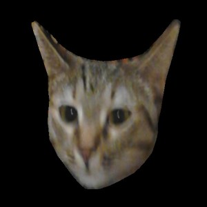 Create meme: cat, cat, the face of the cat PNG